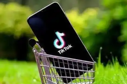 TikTok的平均转化率大概在多少 TikTok单条广告转化率范围