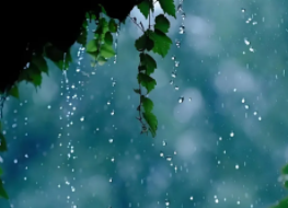 Shopee台湾站点几月雨衣销量高 Shopee台湾站点雨衣销量高的月份