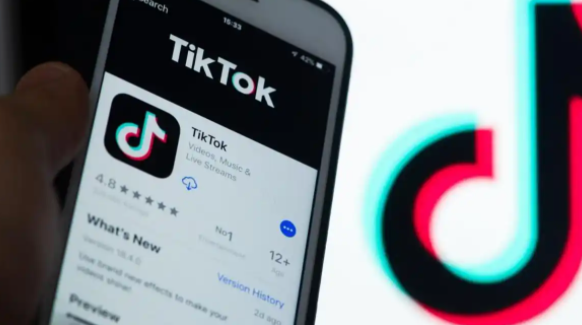 TikTok店铺冷启动卖低价还是高价产品 TikTok店铺冷启动期产品价位选择