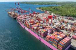 离岸贸易印花税是什么 离岸贸易印花税介绍