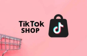 TSP团队人员结构有哪些要求 TSP团队人员结构具体要求