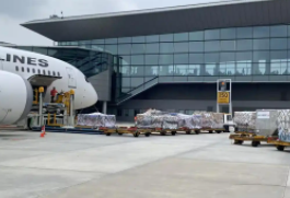 出口海外仓9810订单怎么填写 出口海外仓9810订单填写介绍