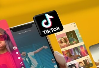 TikTok广告跑不起来怎么办 TikTok广告跑不起来解决办法