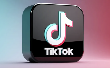 跨境电商海外抖音公司如何入驻 入驻海外抖音跨境电商公司的条件