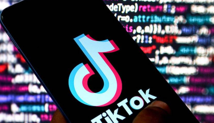 TikTok广告怎么引导互动 TikTok广告互动引导策略