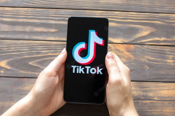 TikTok与虾皮对比哪个平台更好 TikTok与虾皮的区别