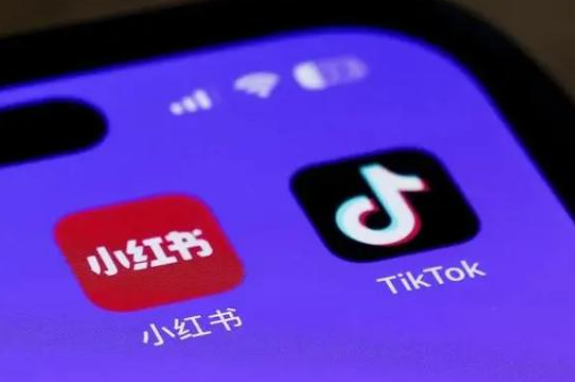 TikTok的PSA广告怎么投流 TikTok的PSA广告投流步骤