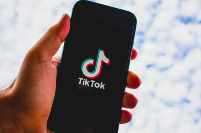 TikTok的PSA广告有哪些缺点 TikTok的PSA广告缺点概述