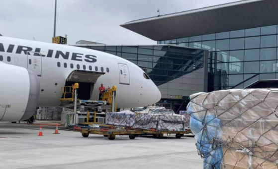 货代销售要跑展会吗 货代销售跑展会作用