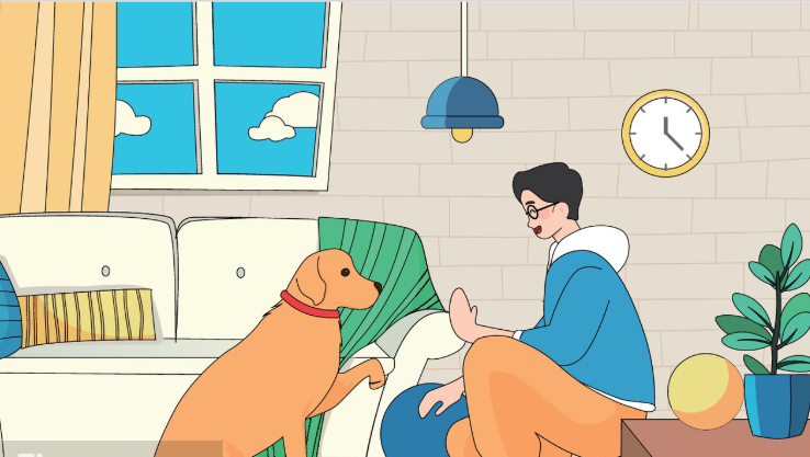 外贸独立站中宠物类目是个好选择吗 外贸独立站宠物类目优势解析