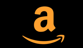 亚马逊美国站点月租多少 亚马逊美国站点月租与热销商品选择指南