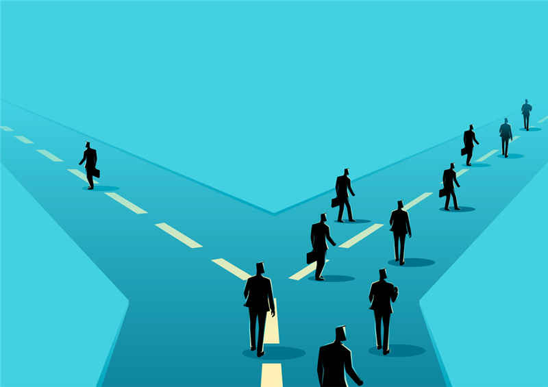 Shein有哪些店铺类型 Shein店铺类型及优势解析