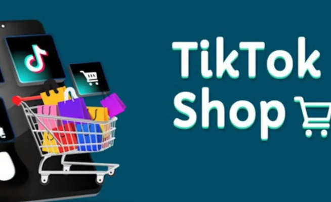 TikTokshop商家版支持国内使用吗 TikTokshop商家版使用环境要求