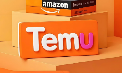 temu怎么降低预期不符退货率 temu降低预期不符退货率方法