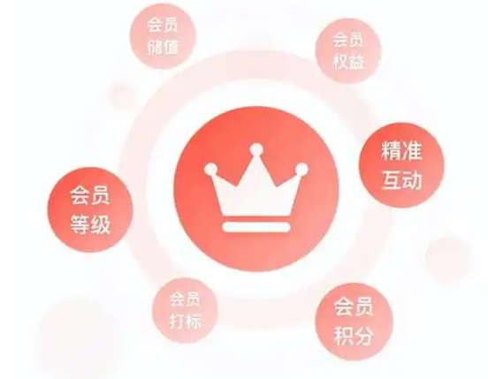 为什么shopify要搭建会员体系 shopify搭建会员体系的作用