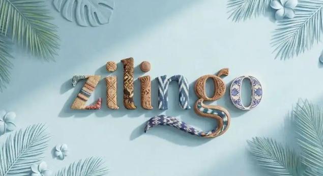 Zilingo自发货流程规则介绍 Zilingo平台的物流有何特点