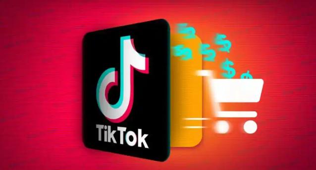 TikTok在巴西申请金融牌照 拟推出货代相关产业