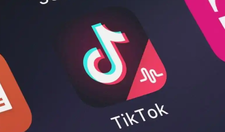 TikTok内容推送群体是按什么定的 TikTok内容推送群体决定因素