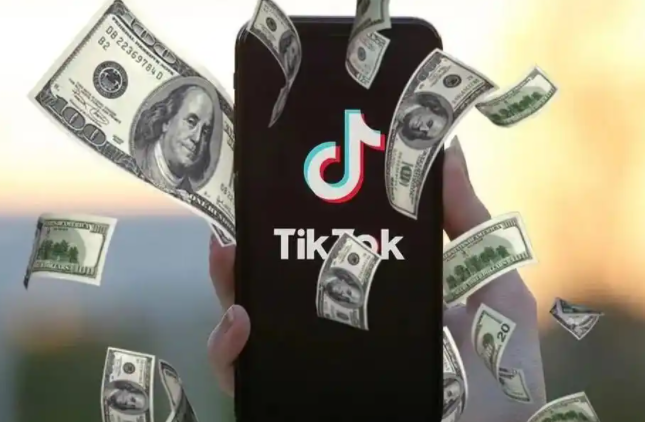 TikTok渠道号有哪些作用 TikTok渠道号作用介绍