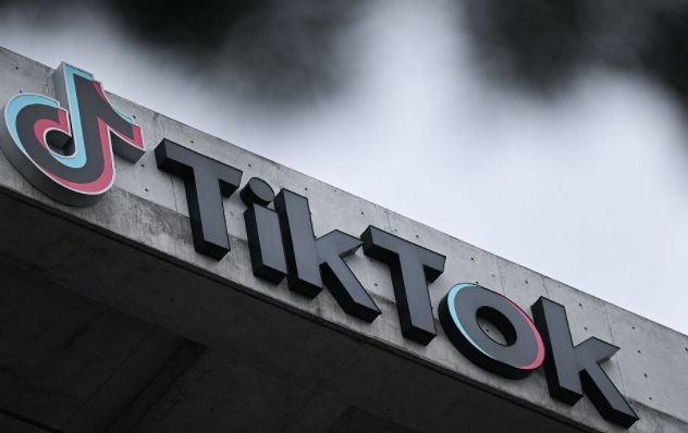 TikTok全域投放是什么 TikTok全域投放介绍